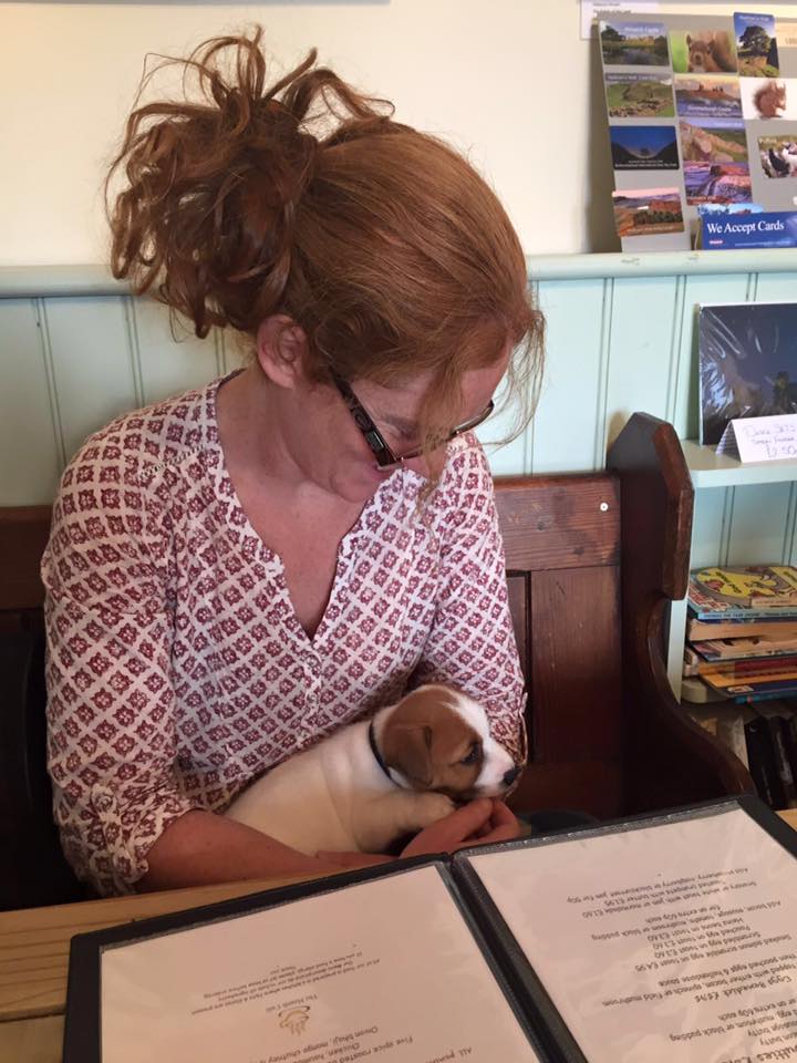 13501707_1150398458344957_7921001380400235584_n