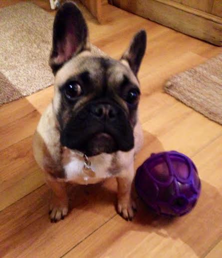 Nibble Kibble.Winnie.jpg