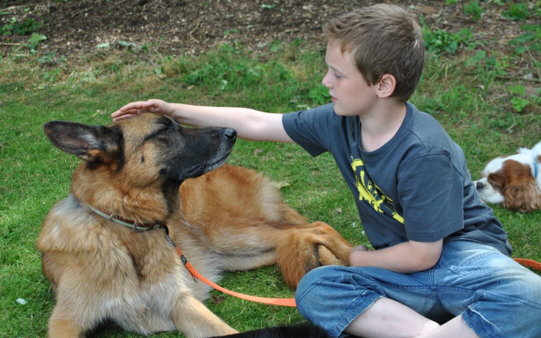 Dangerous Dogs? Doomed to Fail Before they Even Begin-The Ultimate Canine Conundrum