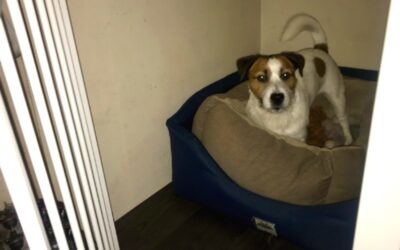 Time for bed? Setting a sleep routine in a new location.