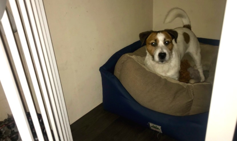 Time for bed? Setting a sleep routine in a new location.