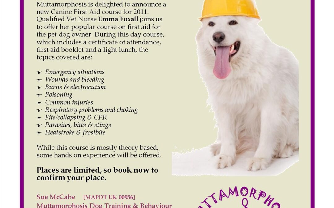 Canine First Aid Workshop for pet dog owners.