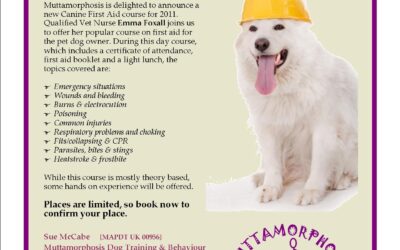 Canine First Aid Workshop for pet dog owners.