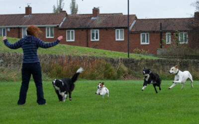 Improving Recall without Toys, Food or Even Talking!