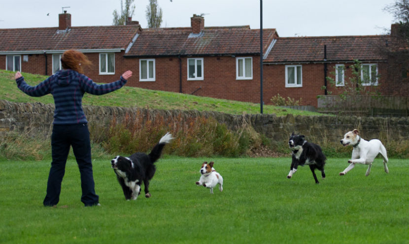 Improving Recall without Toys, Food or Even Talking!