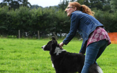 Confessions of a Dog Trainer. Part 1: Feeding from the Table!