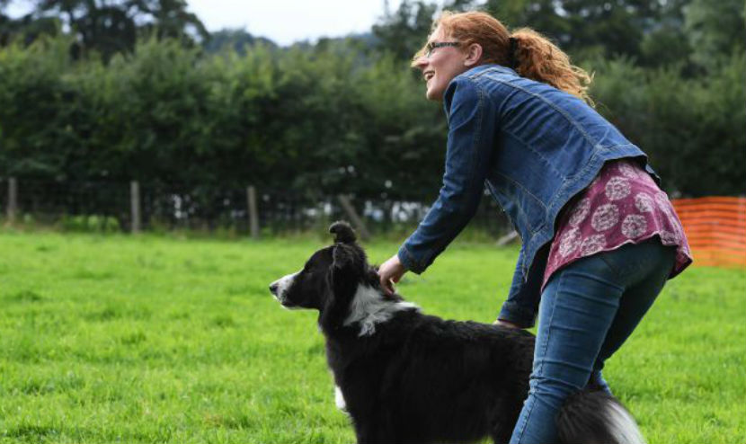 Confessions of a Dog Trainer. Part 1: Feeding from the Table!