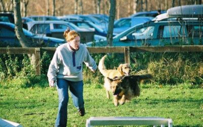 World Agility Open Championships