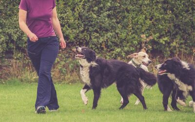 Make the Most of the Games You Play!