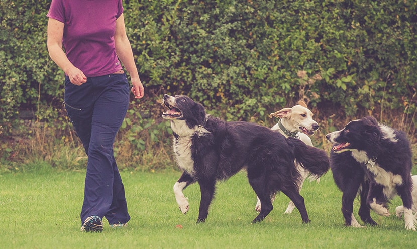 Make the Most of the Games You Play!