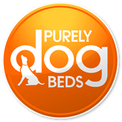 Lights, camera, action, some drool & several pieces of hot dog later….