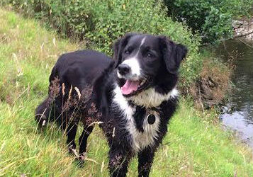 Star of the small screen starts with training of small tasks.