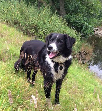 Star of the small screen starts with training of small tasks.