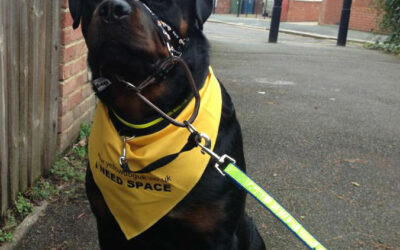 The pressure of inner city life