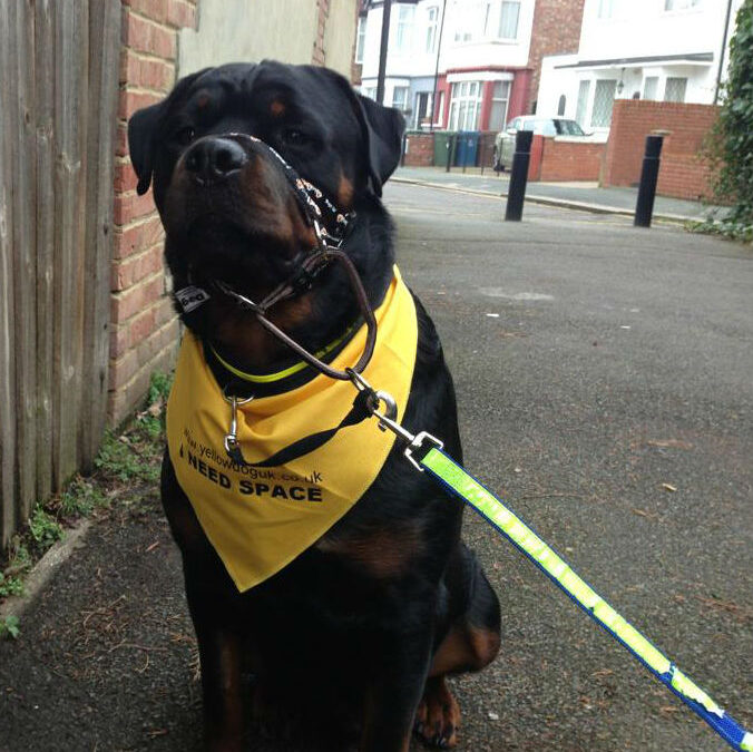 The pressure of inner city life